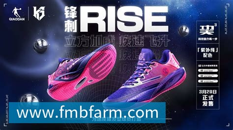 篮球明星必备素质:天赋、努力与领导力分析